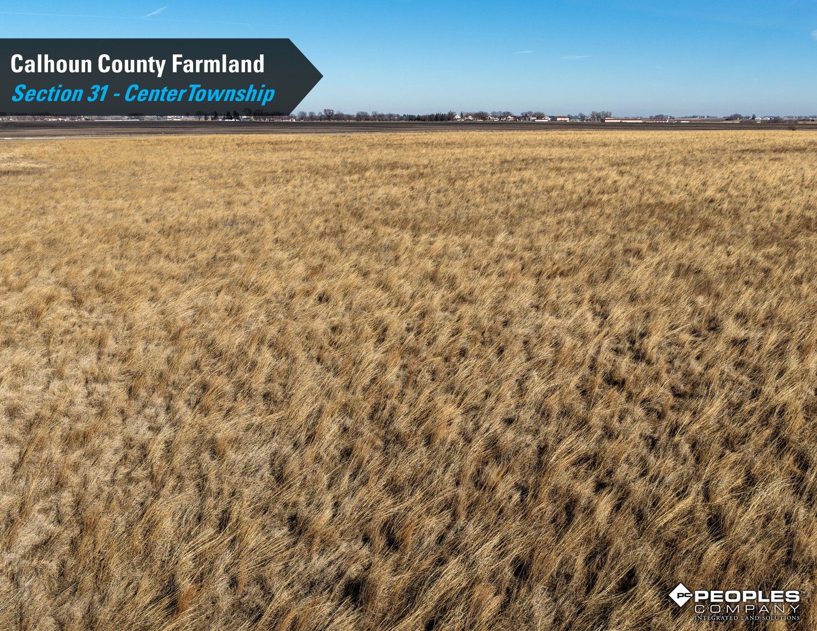 Listing Photo: Calhoun-County-Iowa-Farmland-Available-78.40-Acres-18822-Rockwell-City-IA (10)